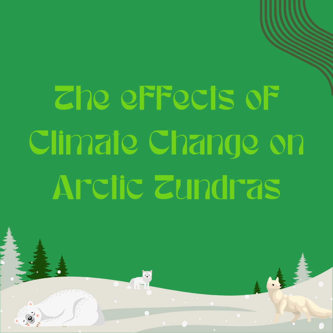 The effects of Climate Change on Arctic Tundras