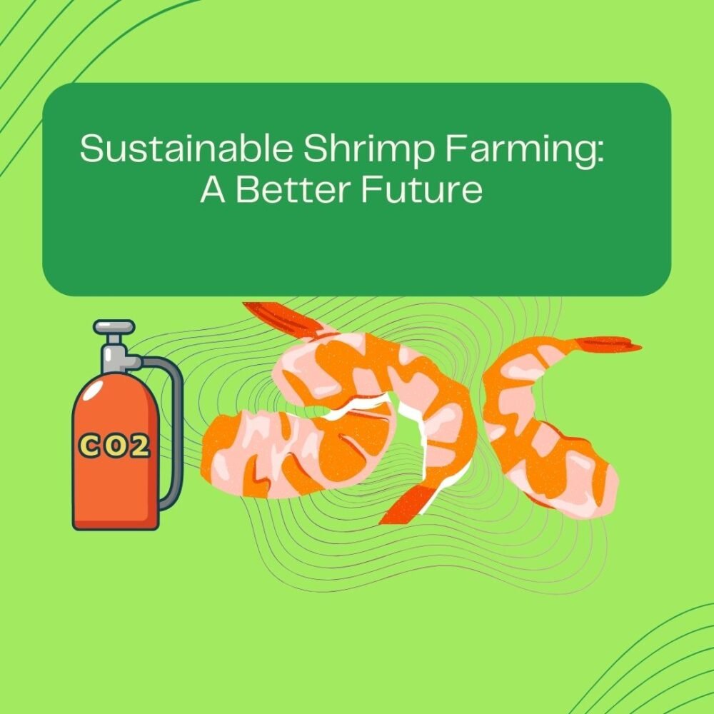 Copy of Sustainable Shrimp Farming A Better Future - instagram post