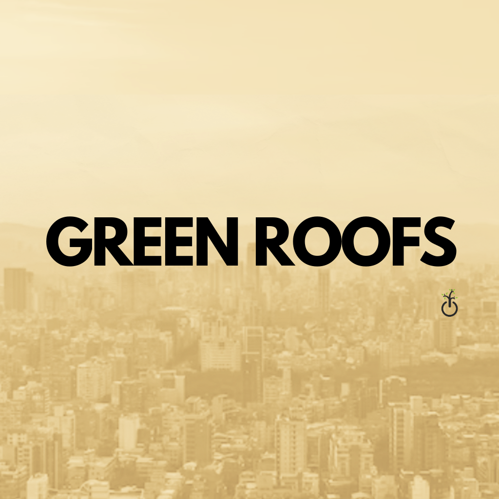 Green roofs (1024 x 1024 px)
