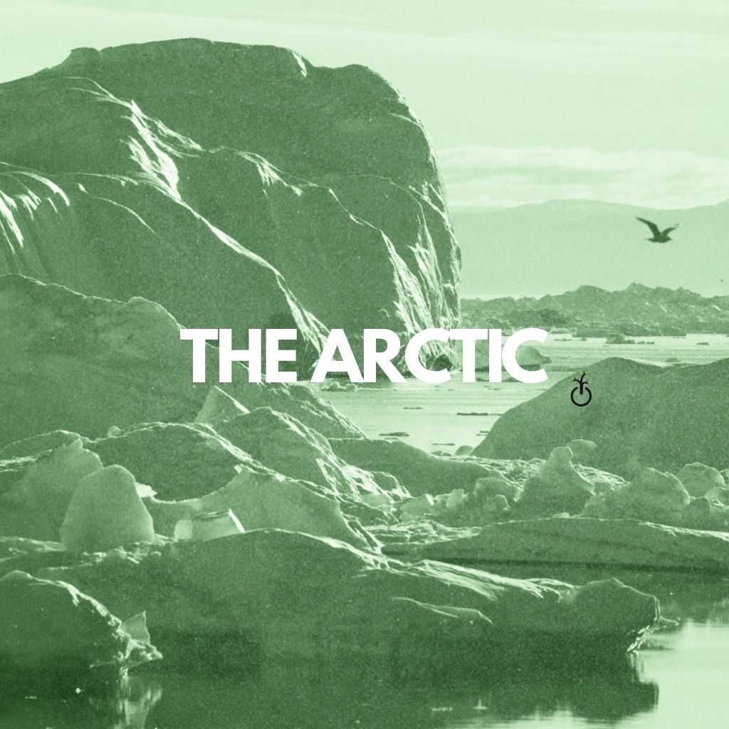 PHOTO-2025-11-11-15-06-21