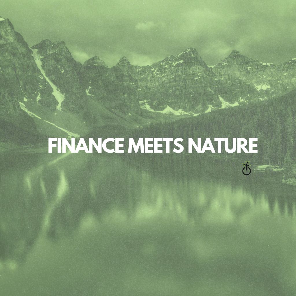 PHOTO-2025-11-20-17-31-12