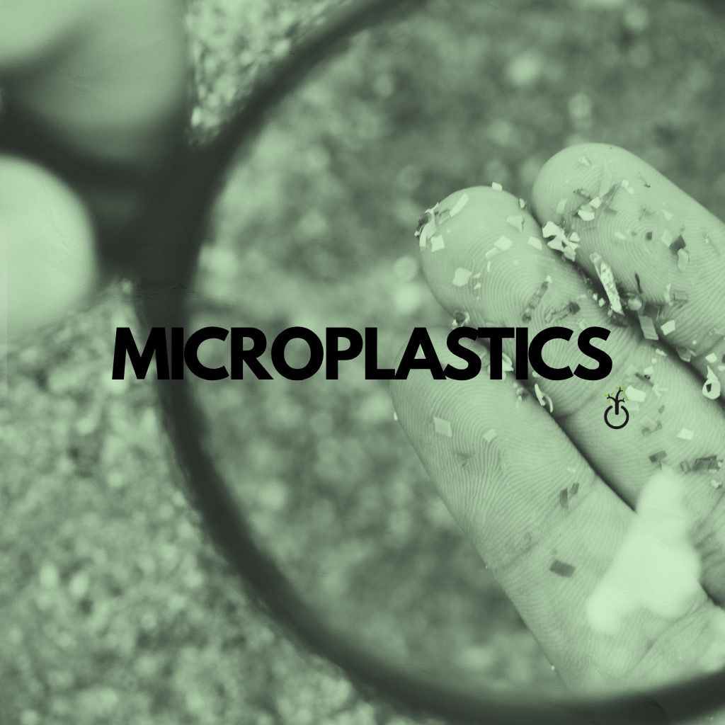 WhatsApp Image 2025-11-06 at 12.20.38