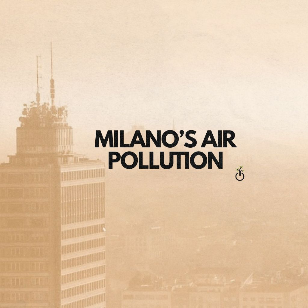 PHOTO-2025-11-30-14-29-09